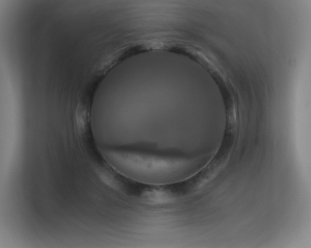 X0000113250503200909101431