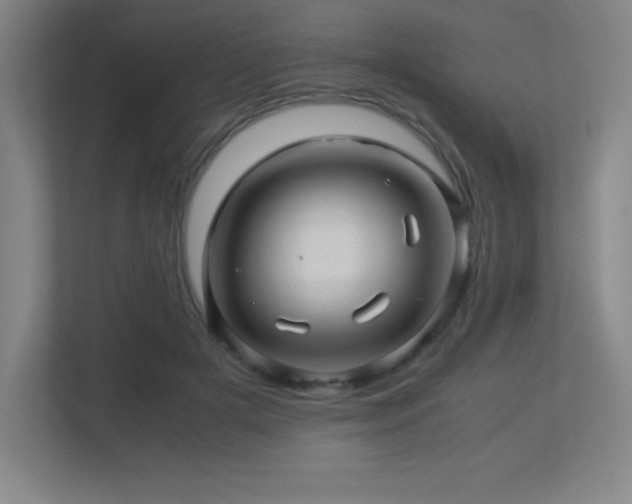 X0000113250505200909101431