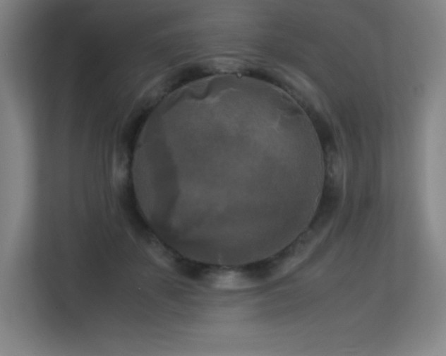 X0000113250507200909101431