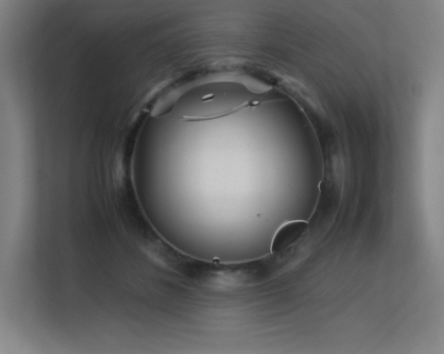 X0000113250508200909101431