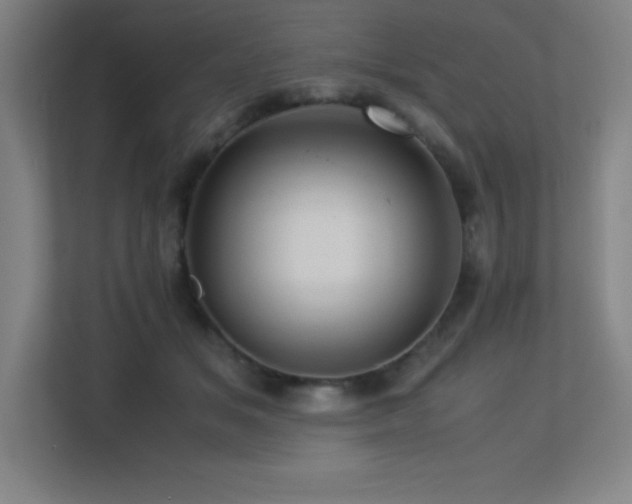 X0000113250509200909101431