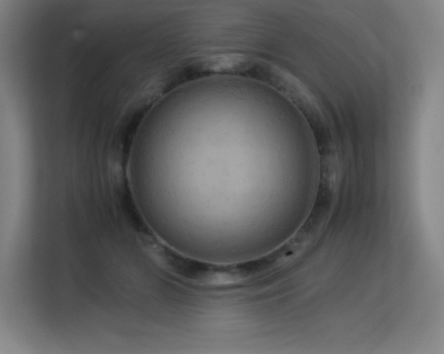 X0000113250510200909101431