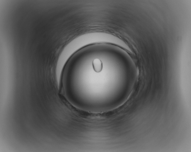 X0000113250512200909101431