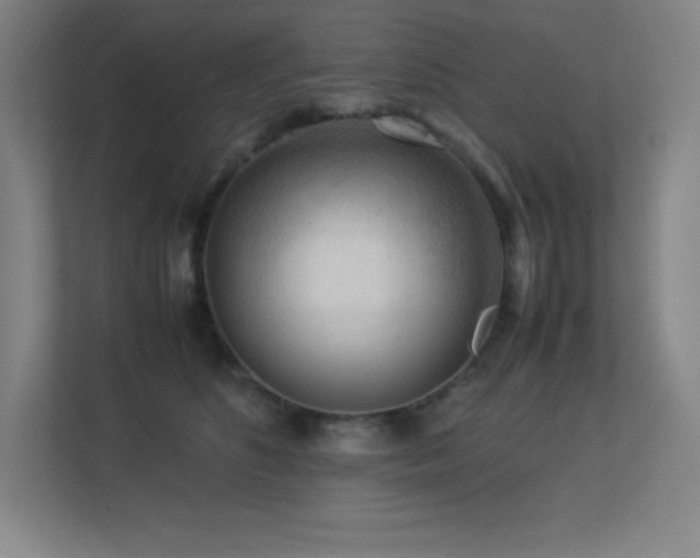 X0000113250516200909101431