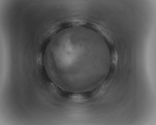 X0000113250519200909101431