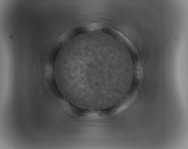 X0000113250523200909101431