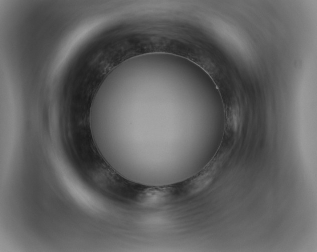 X0000113250526200909101431