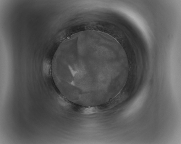X0000113250527200909101431