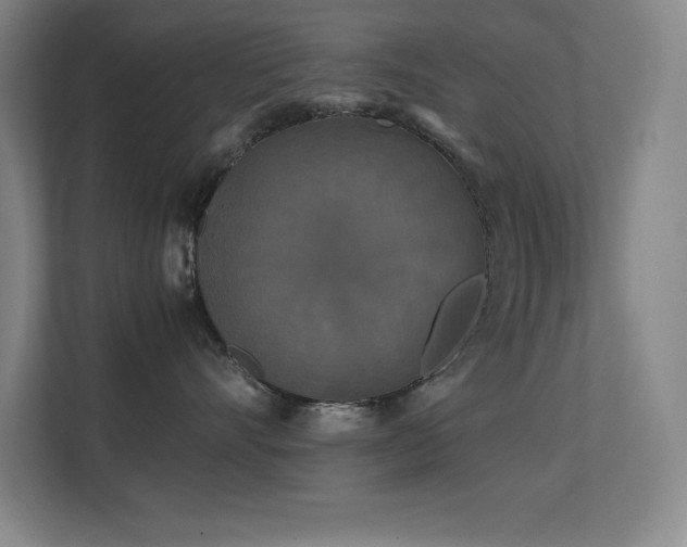 X0000113250528200909101431