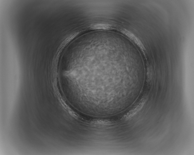 X0000113250529200909101430