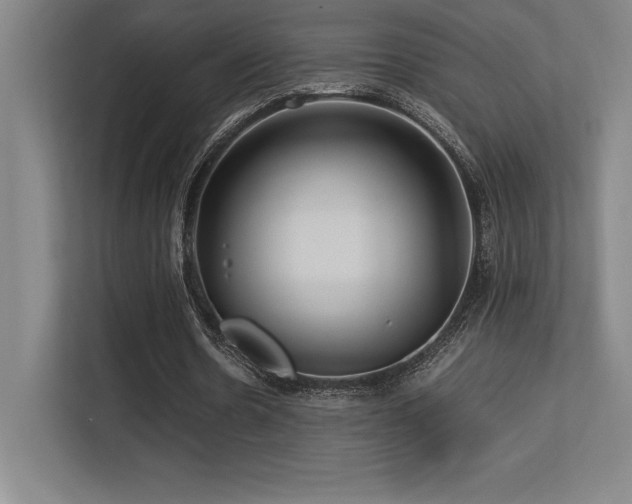X0000113250530200909101430
