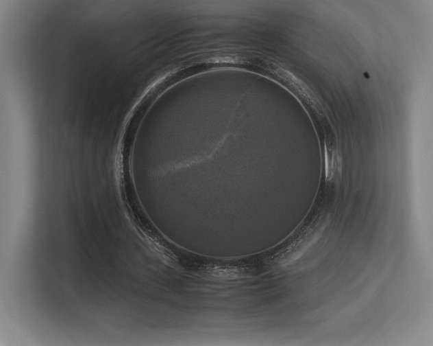 X0000113250531200909101430