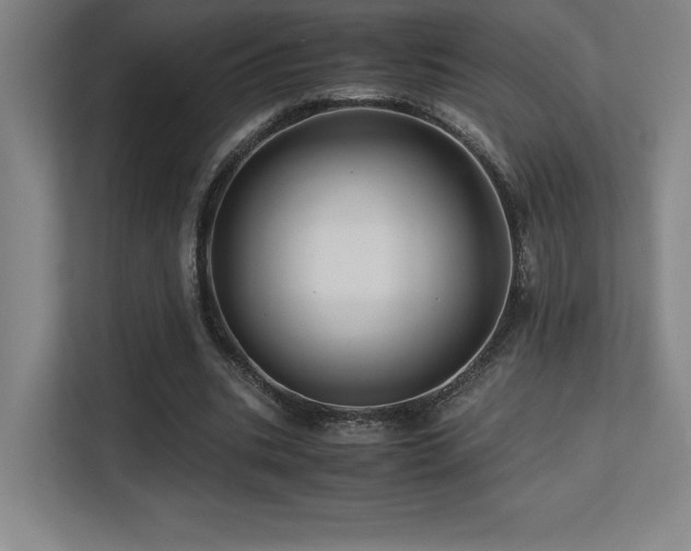 X0000113250535200909101430