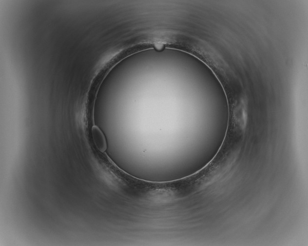 X0000113250536200909101430