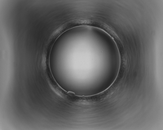 X0000113250538200909101430