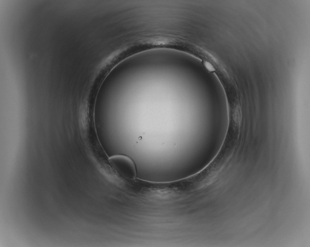 X0000113250540200909101430