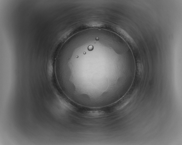 X0000113250541200909101430