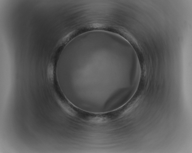 X0000113250542200909101430