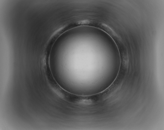 X0000113250543200909101430