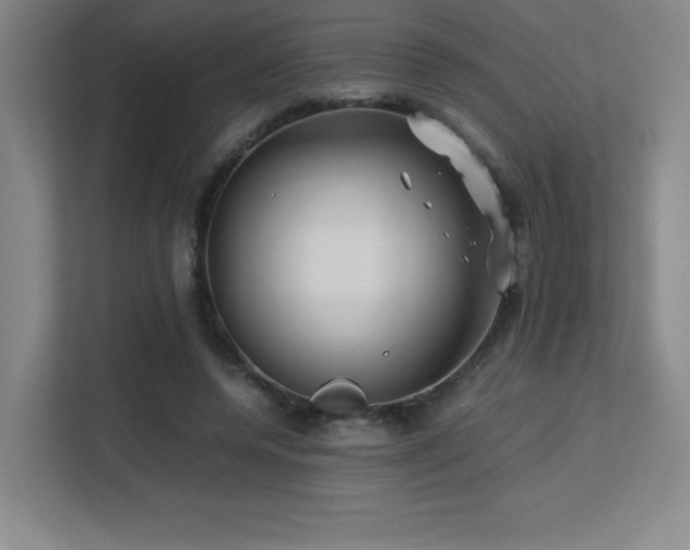 X0000113250544200909101430
