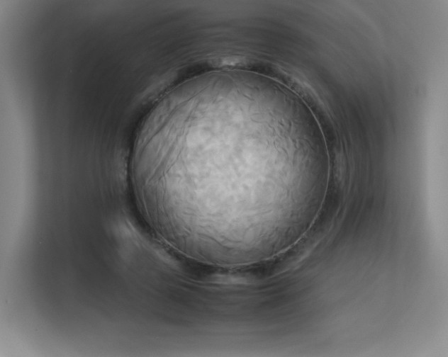 X0000113250545200909101430