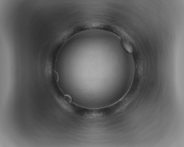 X0000113250546200909101430
