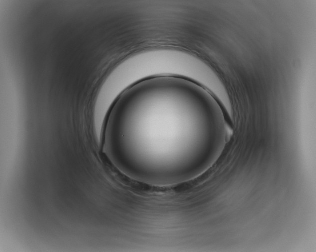 X0000113250548200909101430