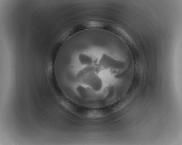 X0000113250549200909101430