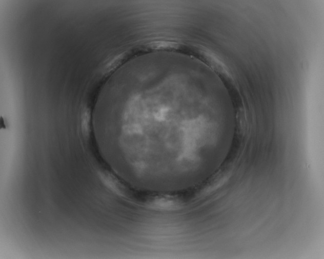 X0000113250550200909101430