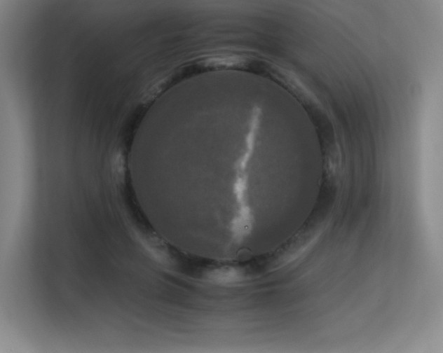 X0000113250551200909101430
