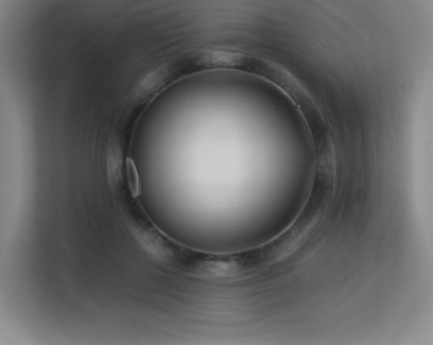 X0000113250552200909101430