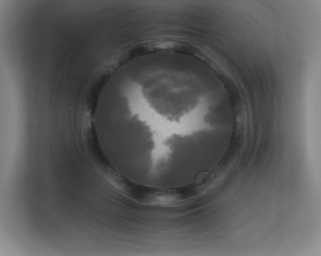X0000113250555200909101430