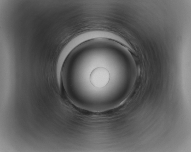 X0000113250556200909101430
