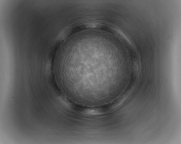 X0000113250557200909101430