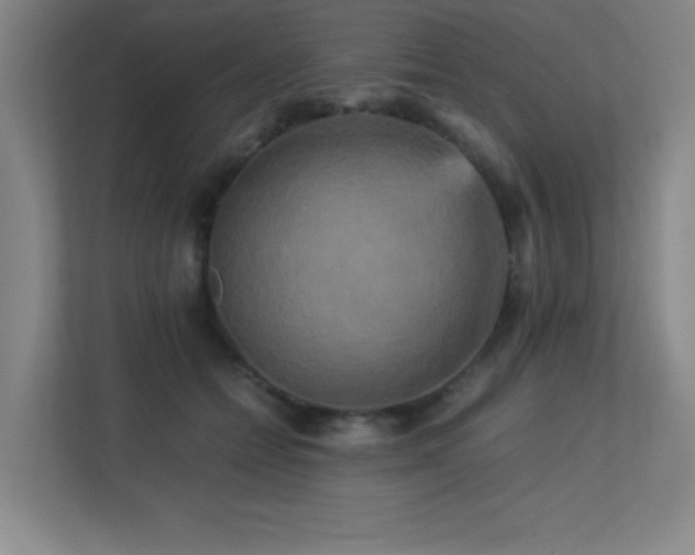 X0000113250558200909101430