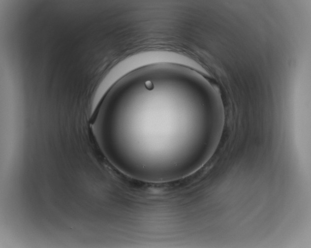 X0000113250560200909101430