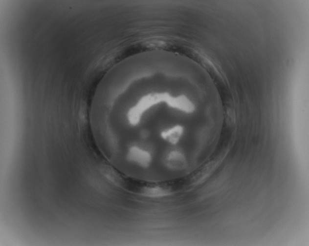 X0000113250561200909101430