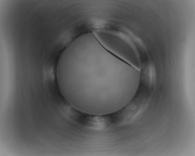 X0000113250562200909101430