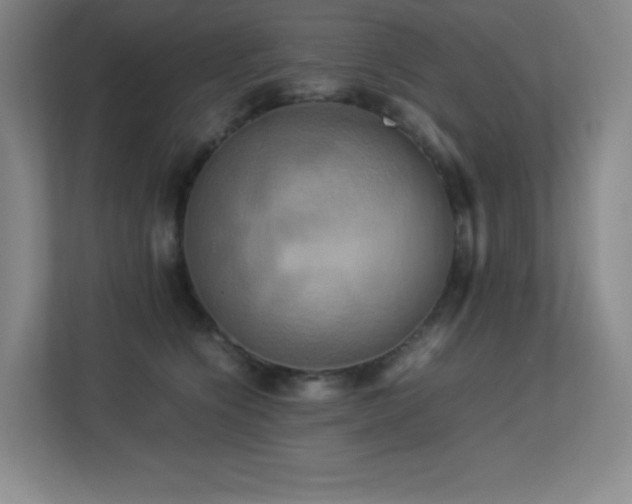 X0000113250564200909101430
