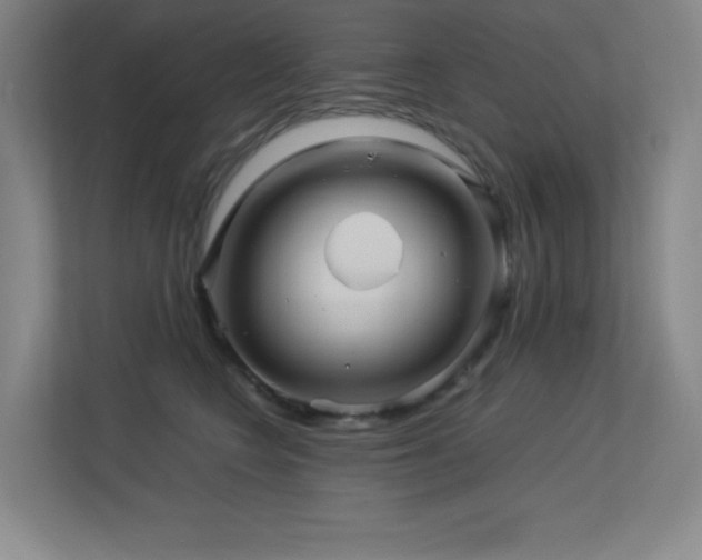 X0000113250566200909101430