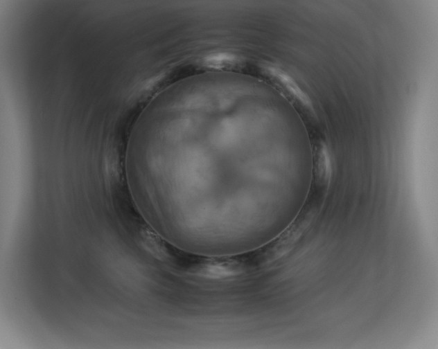 X0000113250569200909101431