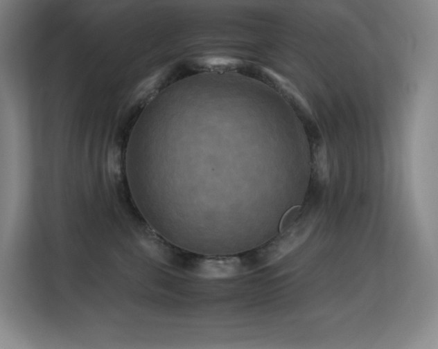 X0000113250571200909101431