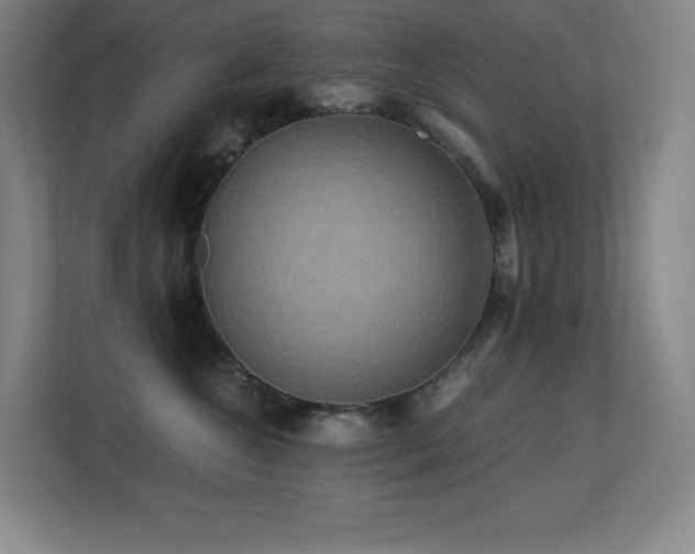 X0000113250572200909101431