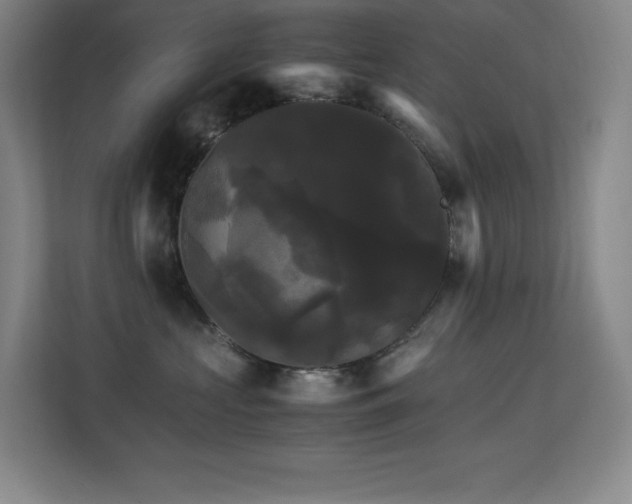 X0000113250573200909101431