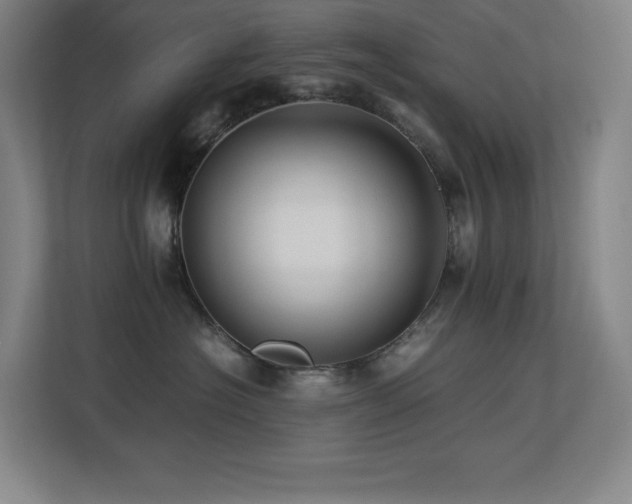 X0000113250574200909101431