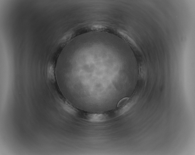 X0000113250575200909101431