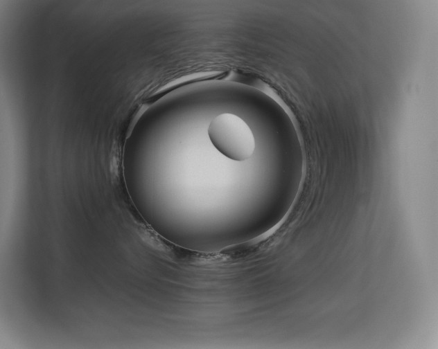 X0000113250576200909101431