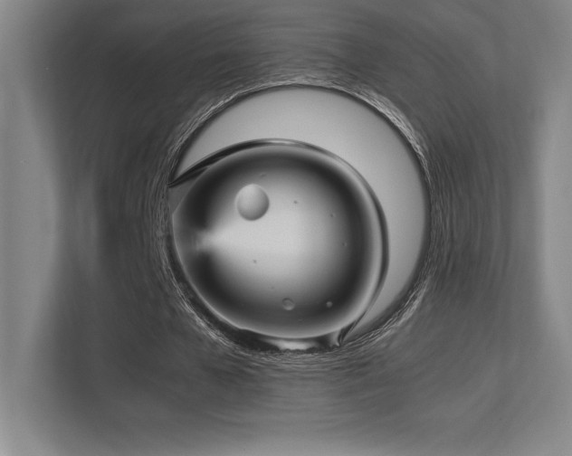X0000113250577200909101430