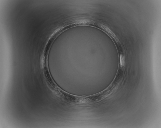 X0000113250579200909101430