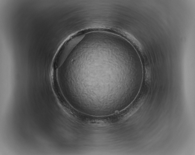 X0000113250580200909101430